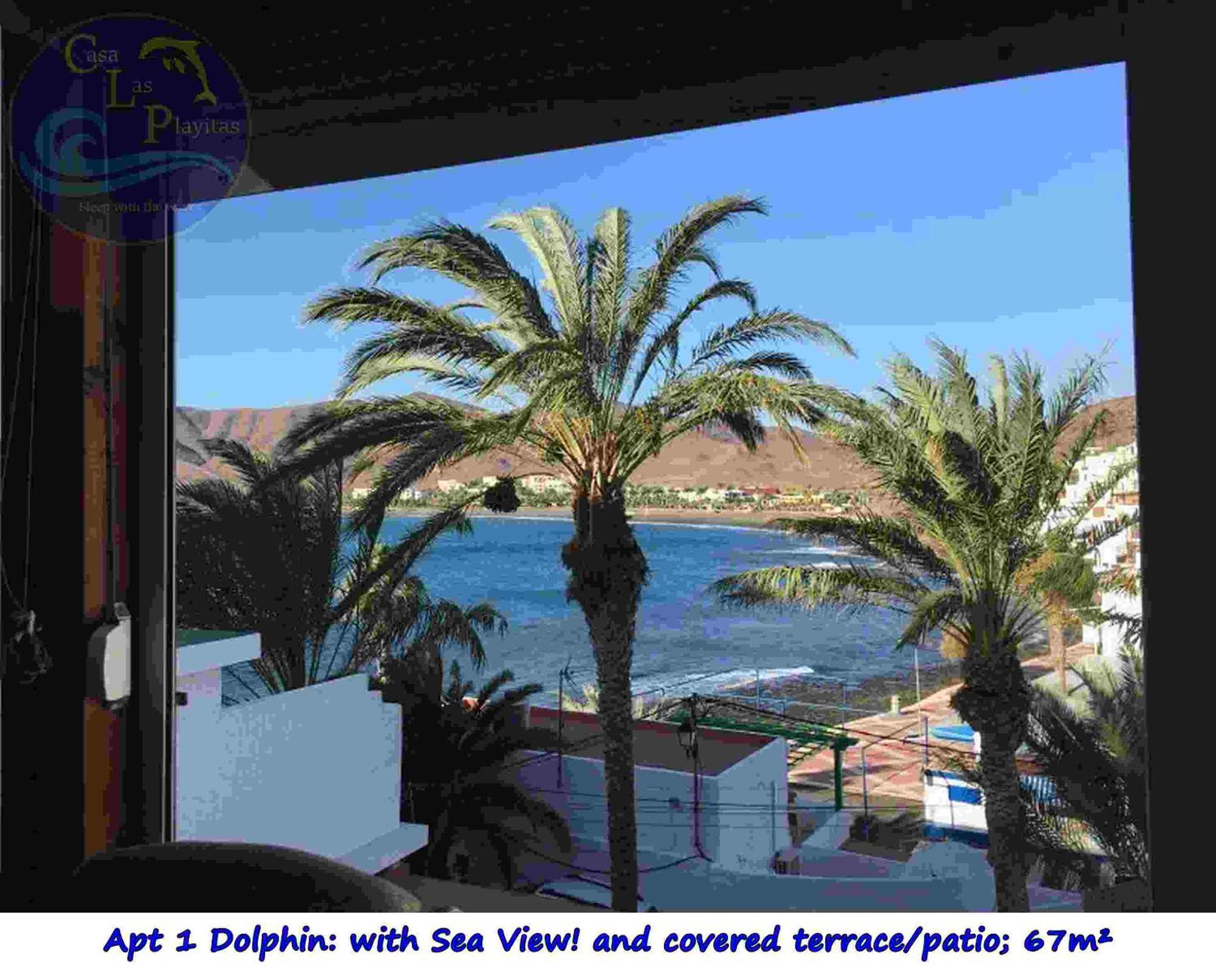 Casa Las Playitas -Clp- Best Sea View - In 1 Minute Ocean Las Playas 外观 照片
